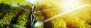 Commercial Irrigation products | Commerce, Danielsville, Comer, Jefferson & Monroe